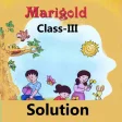 Class 3 English Solution