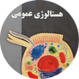 程序图标：هستالوژی عمومی