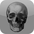 أيقونة البرنامج: Daily Death