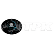 TPK Player V5