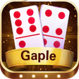 プログラムのアイコン：Multigaple Domino