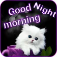 Good Morning - Good Night Messages Images GIF