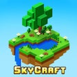 ไอคอนของโปรแกรม: SkyCraft Survival