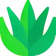 Icon of program: Gel de Aloe Vera