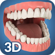 プログラムのアイコン：Dental Anatomy Pro.