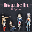 Icon of program: UPDATE BLACKPINK - How Yo…
