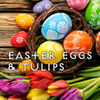 プログラムのアイコン：Easter Eggs & Tulips Them…
