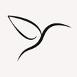 أيقونة البرنامج: City Art - Illustrate wit…