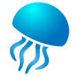 Icon of program: Jellyfish reports and Ibi…