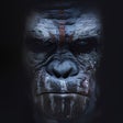 Ikona programu: Planet of the Apes Wallpa…