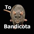 أيقونة البرنامج: Bandicoot Rats Sound