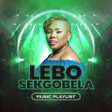 程序图标：Lebo Sekgobela All Songs