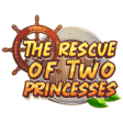 The Rescue Of Two princess