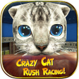 Ikona programu: Crazy Cat Rush Racing Run…