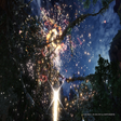 Icon of program: Eternal Night