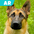 ไอคอนของโปรแกรม: Talking Dogs AR