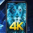 Dynamic Live Wallpapers icon