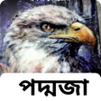 Icoon van programma: আম পদমজ - Ami Poddoja