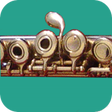 أيقونة البرنامج: How To Play Flute