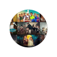 أيقونة البرنامج: Pakistani Dramas