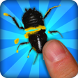 Ikon program: Bug Smasher