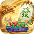 Programikonen: VV55Quinlan