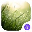 程序图标：Lush-APUS Launcher theme