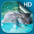 Icon of program: Dolphin Live Wallpaper HD