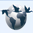 Icon of program: InterNations