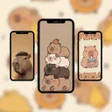 Programikonen: Cute Capybara Wallpaper H…