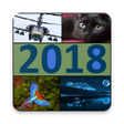 Icon of program: 4 фотки 1 слово  4 картин…
