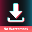 程序图标：Downloader for Tik-TokLit…