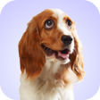 程序图标：Dog Whining Sounds