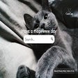 Icon of program: Cute Cats NewTab