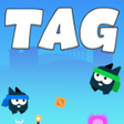 أيقونة البرنامج: Tag Game