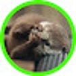 Icon of program: Multi Tools Launcher 4.8.…