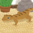 Icono de programa: Gecko Pet