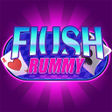 أيقونة البرنامج: FlushRummy