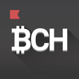 Icon of program: Bitcoin Cash Wallet to St…