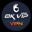 程序图标：OK VIP VPN
