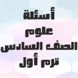 Icon of program: أسئلة علوم الصف السادس تر…