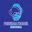 プログラムのアイコン：Prodata