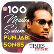 プログラムのアイコン：100 Master Saleem Punjabi…