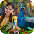 Icon of program: Peacock Photo Frame : Gar…