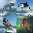 Icoon van programma: Sea Battle MMO Multiplaye…
