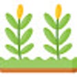 Icon of program: Agro Mark Net