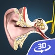 Ikona programu: The mechanism of hearing …