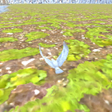 프로그램 아이콘: EagleFly3D