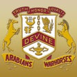 Programikonen: Devine ISD