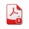 Icono de programa: PDF Password Protector